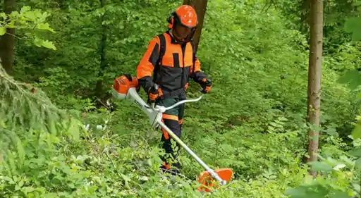 débroussaillage dans le gard