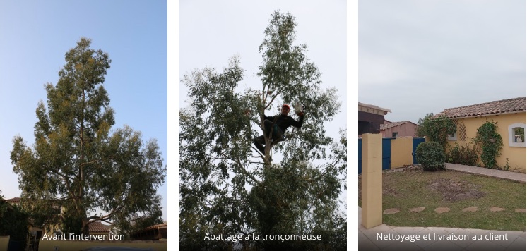 Saint-Gilles, Abattage d’un arbre proche d’une maison