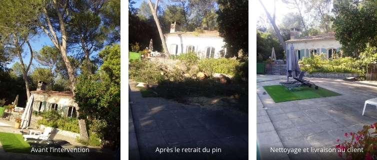 Aimargues, Abattage grand pin proche piscine